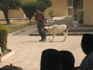 2007_ (214)
